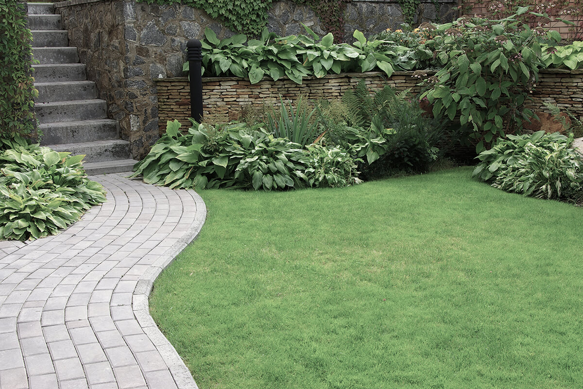 Welcome to EML Landscaping